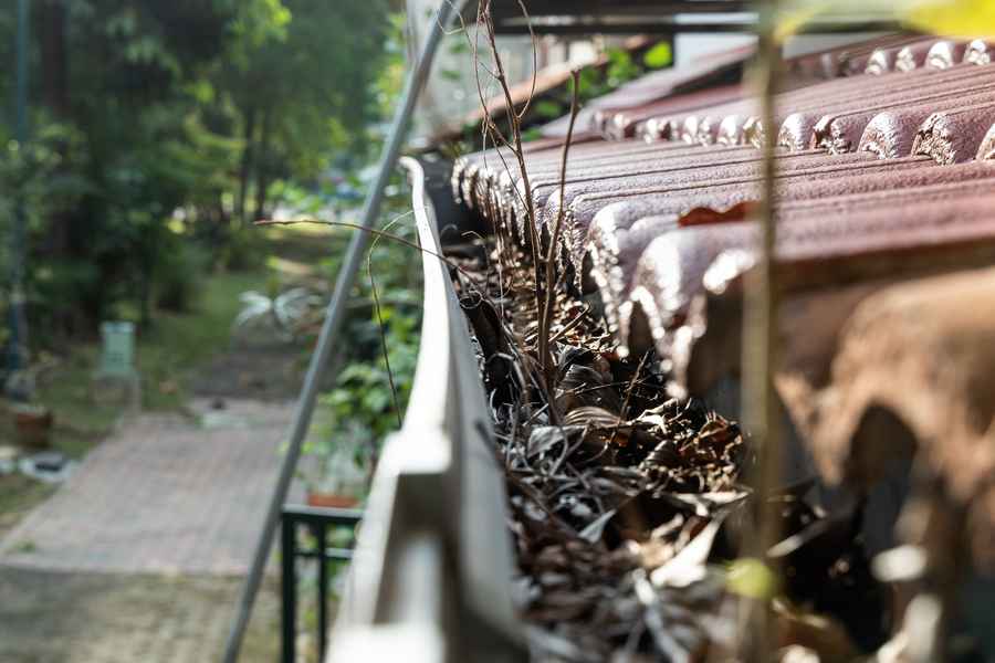 What To Do if a Storm Damages Your Roof