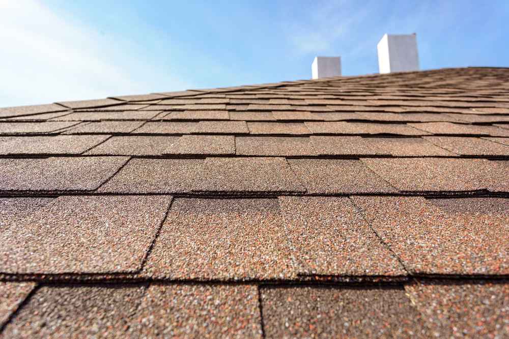 Asphalt Shingle Roofing expert