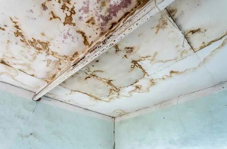 water stains on ceilings